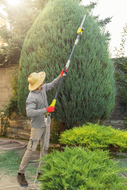 How Our Tree Care Process Works  in Bayou Cane, LA